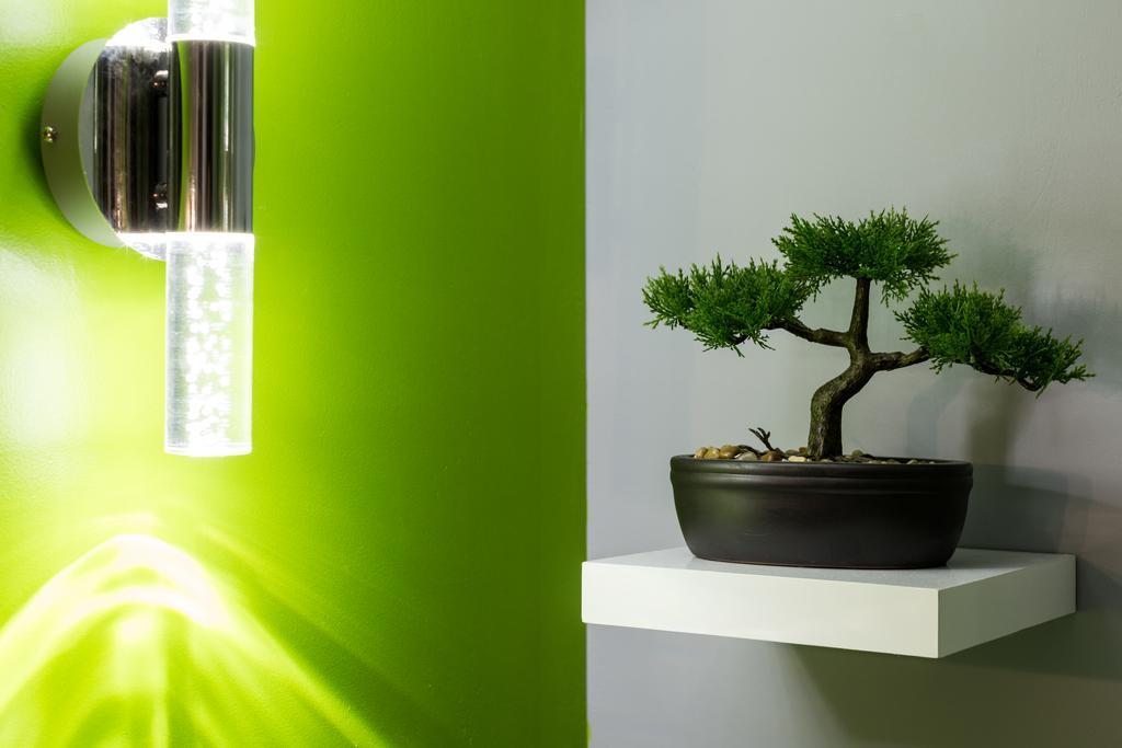 Appartement Rouennais